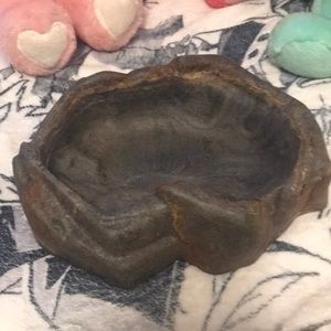 Reptile dish